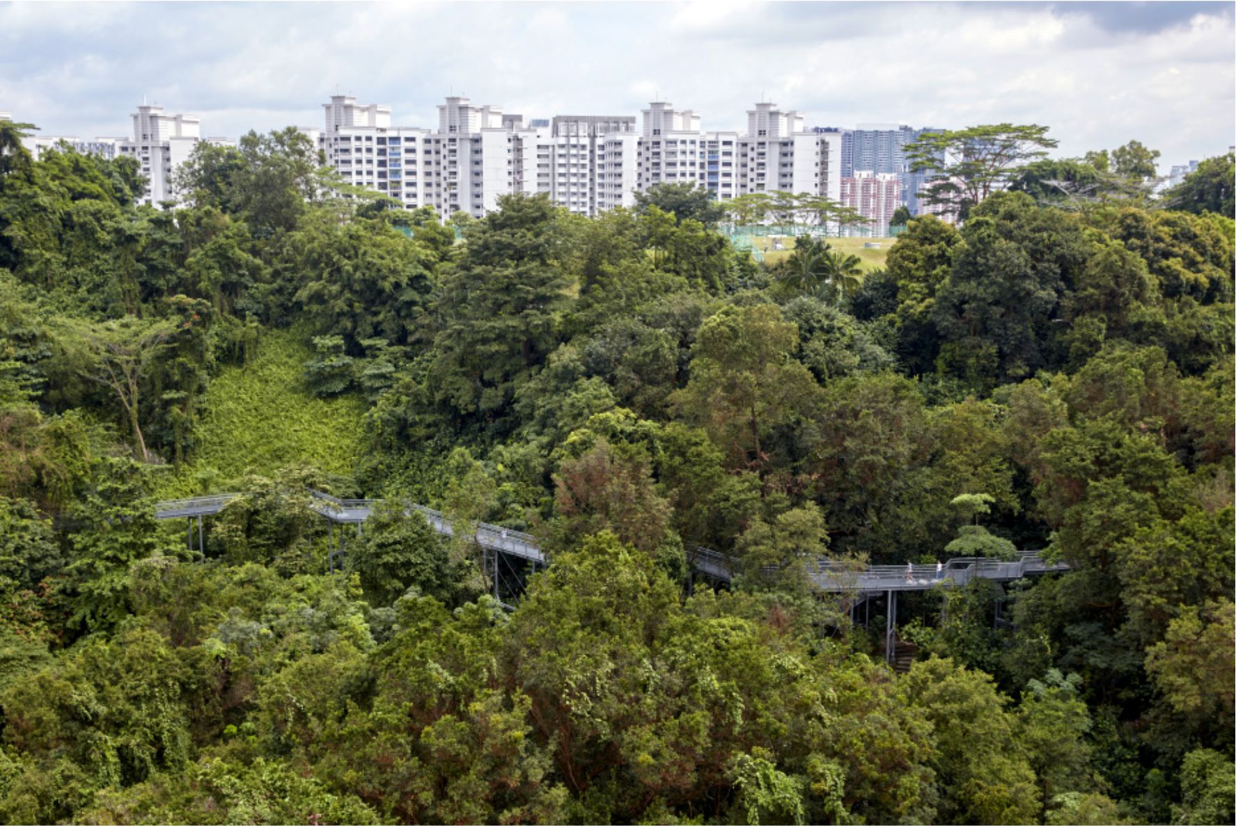 Blossoms-Location-Southern-Ridges Blossoms-Location-Southern-Ridges